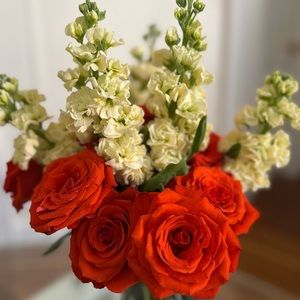 Meet your Posher, Nicole